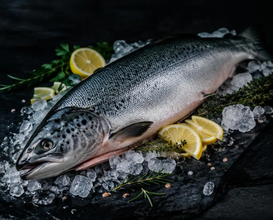 Salmão Fresco